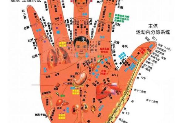手相诊断心脏健康的关键线索