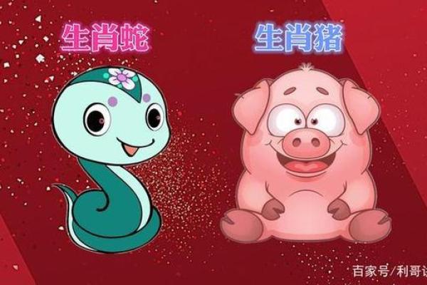 蛇猪配对婚姻：性格契合与潜在摩擦的平衡