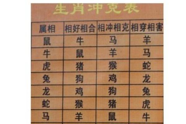 蛇猪配对婚姻：性格契合与潜在摩擦的平衡