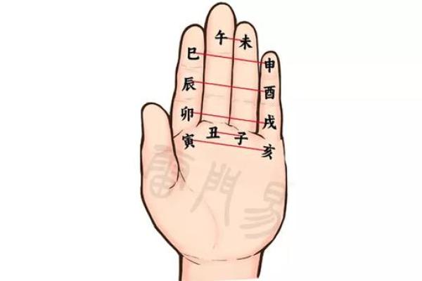 牛天干地支起法与命理解析