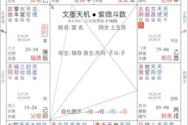 掌握手机排盘技巧，洞察未来趋势