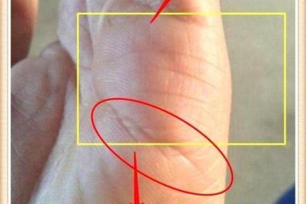 折手手相的深层含义：掌纹折痕影响你的生活轨迹