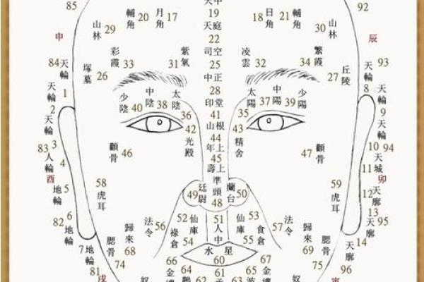 痣相分析的准确性有多高？揭秘痣相与命运的关系