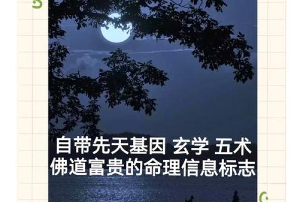 伤官命的含义与命理解析：如何影响一个人的性格与命运