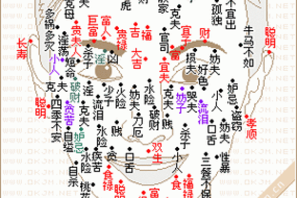 女性面部痣相分析：痣与命运之间的奇妙联系