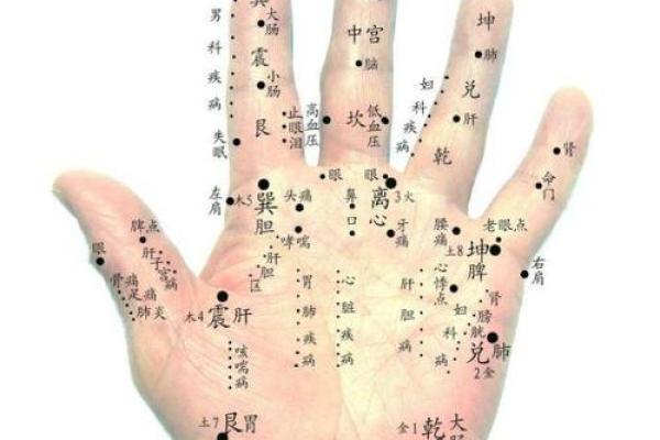 探索手相智慧眼的奥秘与命运走向