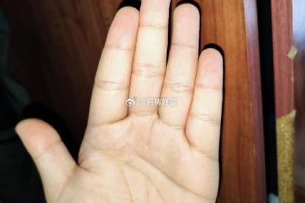透过刀纹手相看人生运势变化