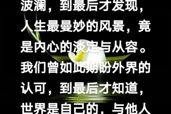 命理名家的成功之道：从命运解析到人生决策