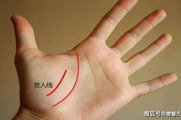 探索手相羽毛纹：它如何影响你的性格与运势