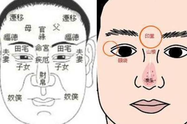面相中的情欲线：好色面相的深层含义