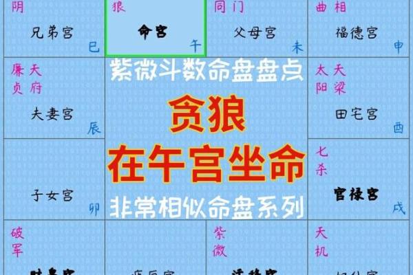 解析午命人的命运轨迹与运势变化