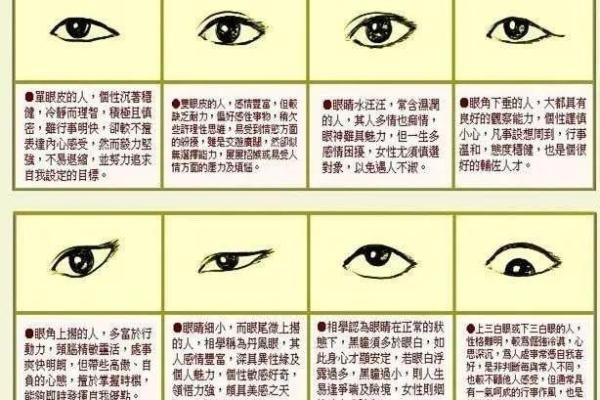 深度剖析巳蛇天干的性格特征与运势