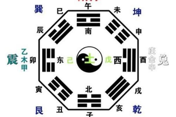 深度剖析巳蛇天干的性格特征与运势