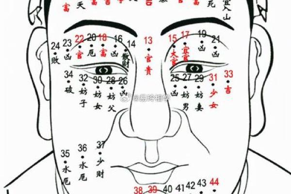 你身上的痣相透露了什么人生秘密