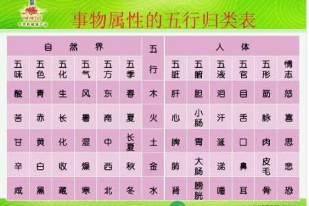 琥珀在五行中的属性与意义解析