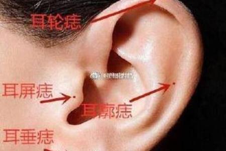 耳朵小面相的秘密：你的耳朵暗示了哪些生活特征