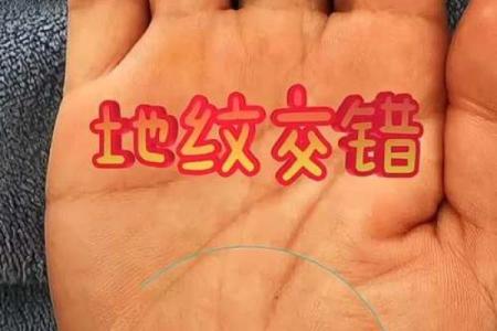 手相诊断心脏健康的关键线索