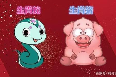 蛇猪配对婚姻：性格契合与潜在摩擦的平衡