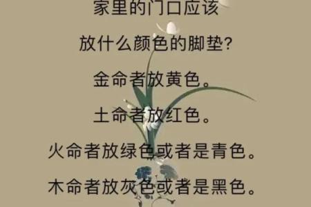 命水对个人运势的影响与启示
