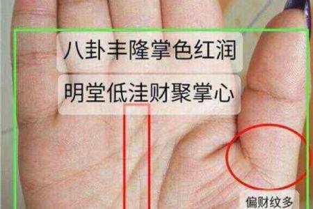 揭秘成功女人手相：如何从掌纹看事业运势