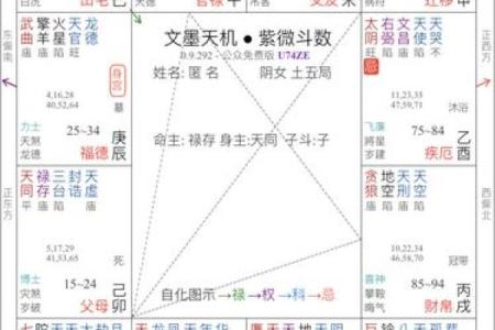 掌握手机排盘技巧，洞察未来趋势