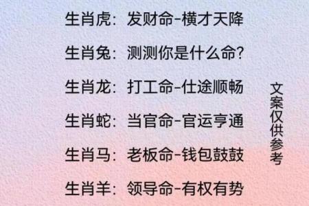 生肖日历：探索十二生肖背后的文化与命运