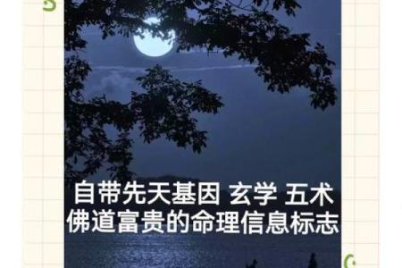 伤官命的含义与命理解析：如何影响一个人的性格与命运