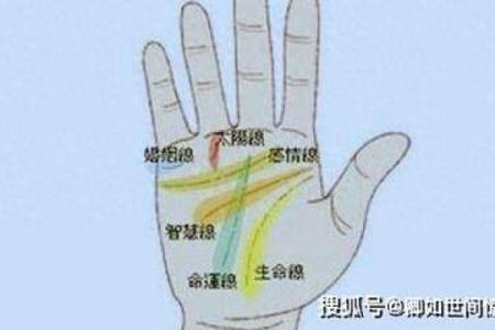探索手相智慧眼的奥秘与命运走向