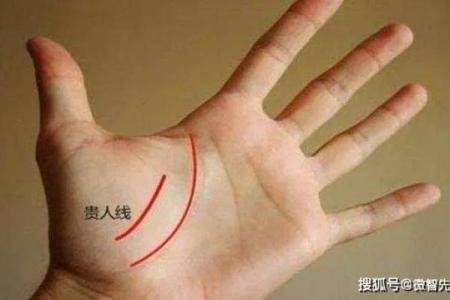 探索手相羽毛纹：它如何影响你的性格与运势
