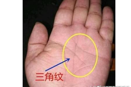 手相中的火星平原揭示的性格特征与命运走向