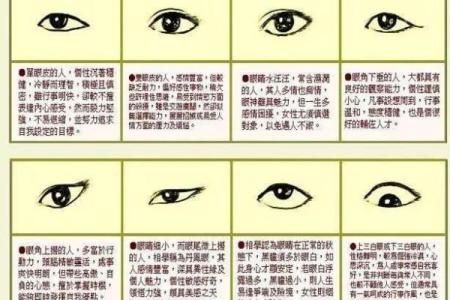 深度剖析巳蛇天干的性格特征与运势