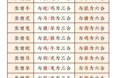 十二生肖与五行的对应关系解析与应用