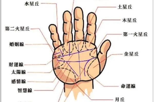 折手手相解析：如何通过手掌线条揭示个性与命运