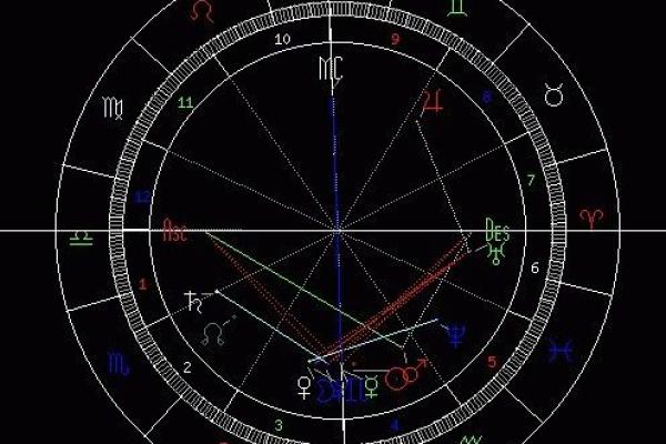 如何使用新浪排盘了解自己的命运轨迹