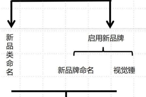 医疗科技公司品牌命名的核心要点与误区分析