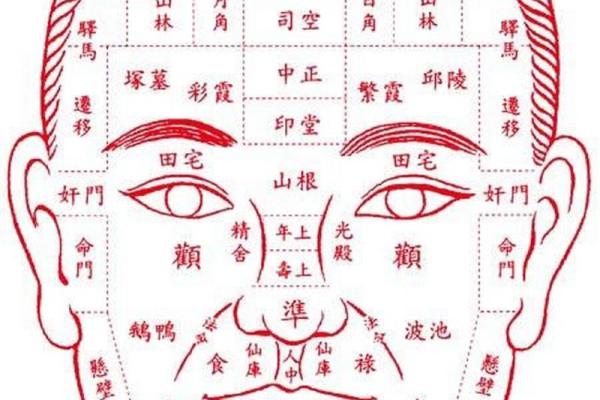 全面解析相痣图解：面部痣相影响你的人生运势