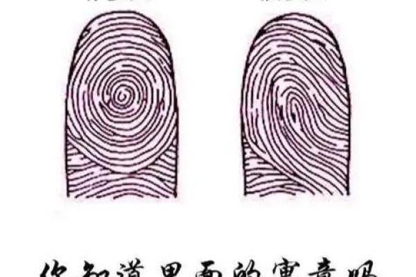 了解手相和面相：通过五官和手纹分析个性与运势