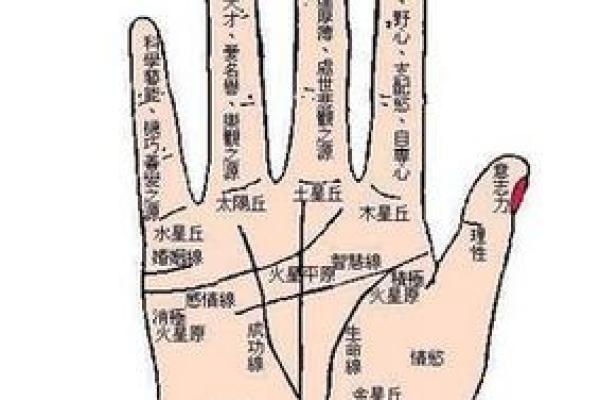 手相纹路浅的含义与解读：是否预示着命运的变化？