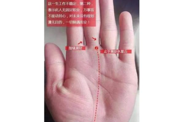 探秘富贵手相：详解好运掌纹的十大特征