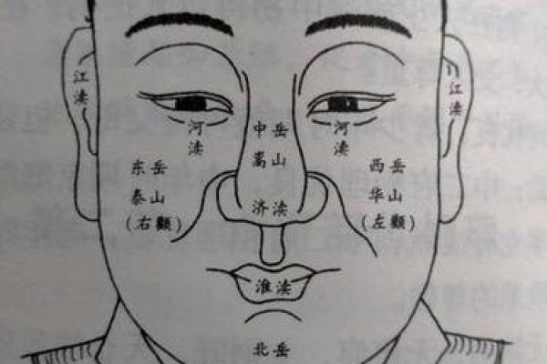 天庭面相解读：如何通过面相判断一个人的命运与性格