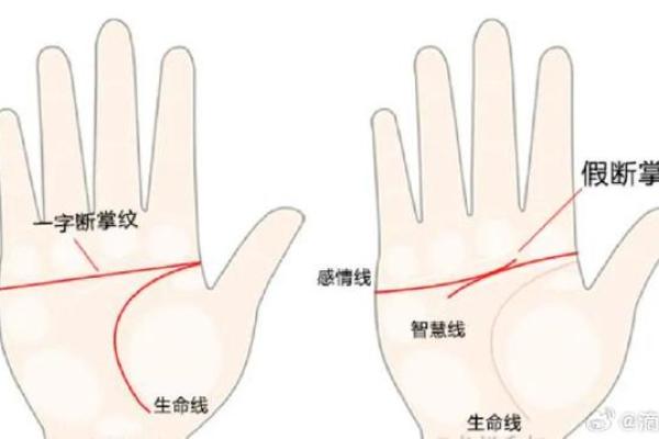 通过手相命运纹解读个人运势与性格特征