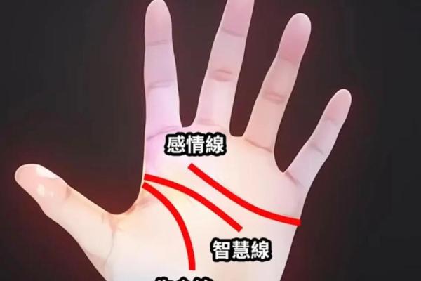 通过手相命运纹解读个人运势与性格特征