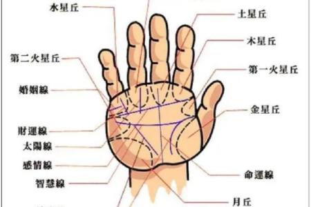 折手手相解析：如何通过手掌线条揭示个性与命运