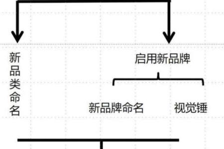 医疗科技公司品牌命名的核心要点与误区分析
