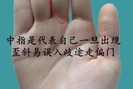 了解手相和面相：通过五官和手纹分析个性与运势
