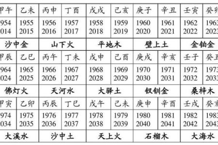 时五行所属及其对命运的影响解析