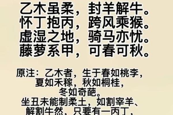 十天干在传统文化中的重要性