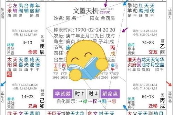 掌握紫薇排盘基础知识，解锁个人运势