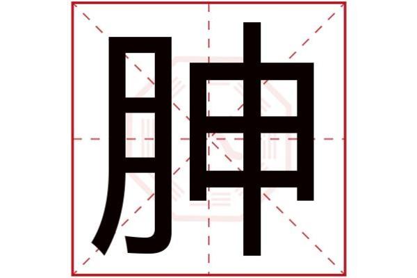 捷字五行分析及其属性详解