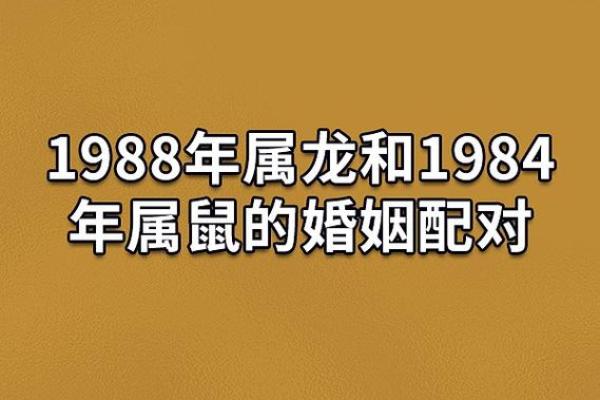 牛女与龙男婚配的优缺点解析